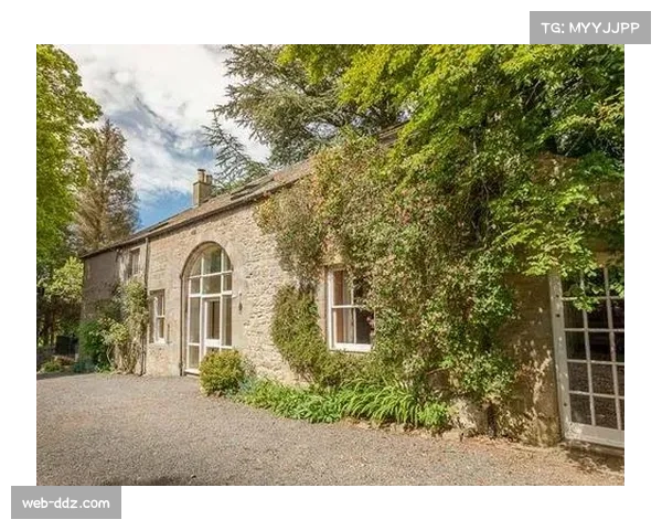 联盟与Coach、Booking.com等品牌达成多年合作协议