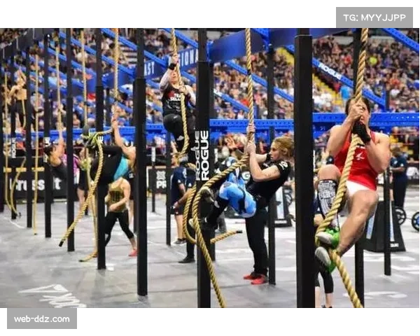 世青赛单项决赛在即，中国小将能否收复失地